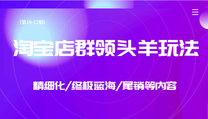 淘宝店群领头羊玩法，精细化/终极蓝海/尾销等内容（第10-12期）-启学项目网