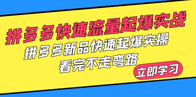 拼多多-快速流量起爆实战，拼多多新品快速起爆实操，看完不走弯路-启学项目网