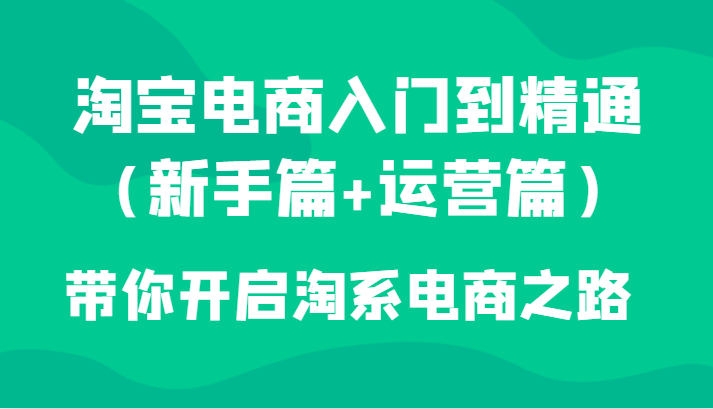 淘宝电商入门到精通（新手篇+运营篇）带你开启淘系电商之路-启学项目网