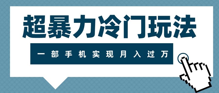 超暴力冷门玩法，可长期操作，一部手机实现月入过万-启学项目网