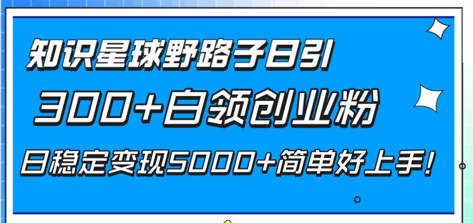 知识星球野路子日引300+白领创业粉，日稳定变现5000+简单好上手！-启学项目网