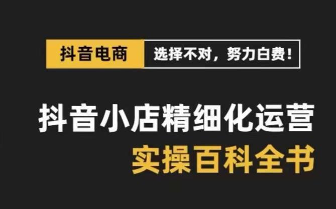 【抖音小店运营攻略】精选高利润产品，解决电商运营难题，保姆级实战讲解（28节课）-启学项目网