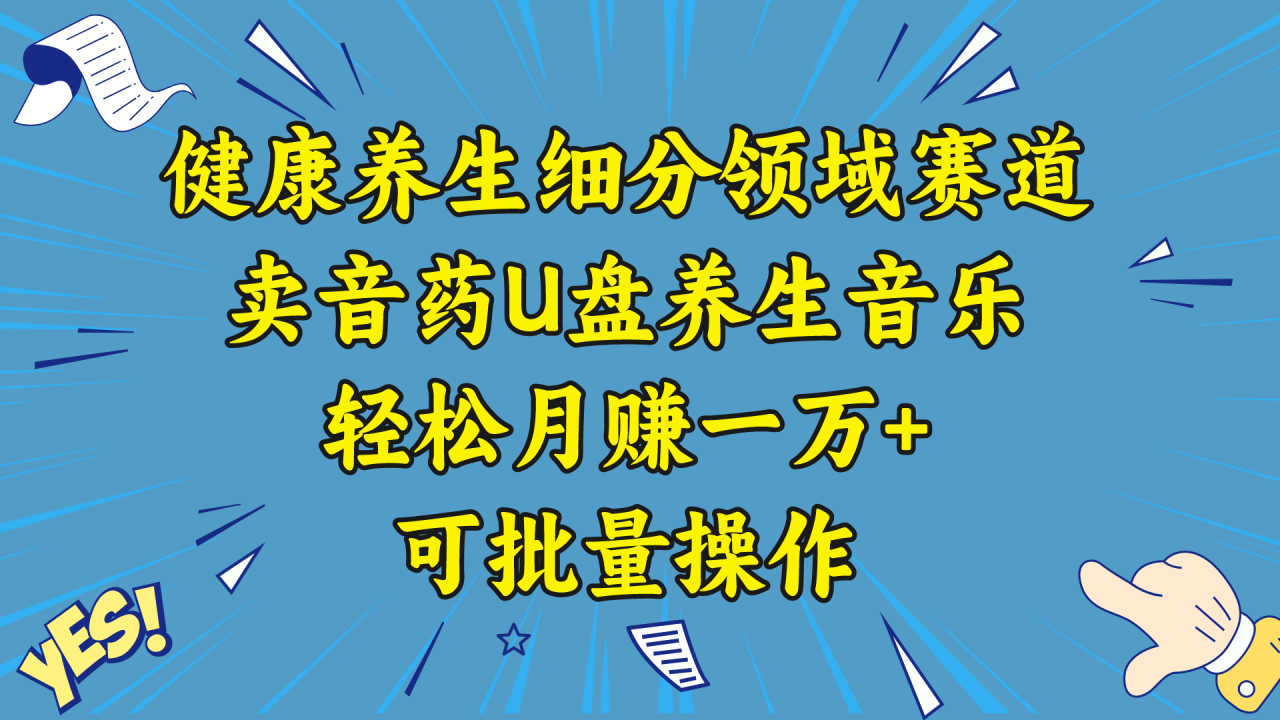 五行音乐养生：细分领域赛道卖音药U盘，打造轻松月赚一万+的健康养生项目-启学项目网