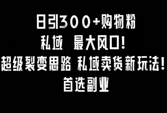 每日引300+购物粉，超级裂变新思路，私域卖货新玩法，小红书首选副业-启学项目网