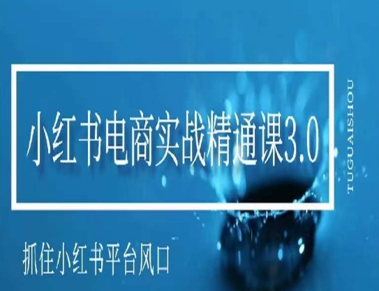 小红书电商实战课程，抓住小红书平台的风口，不错过有一个赚钱的机会-启学项目网