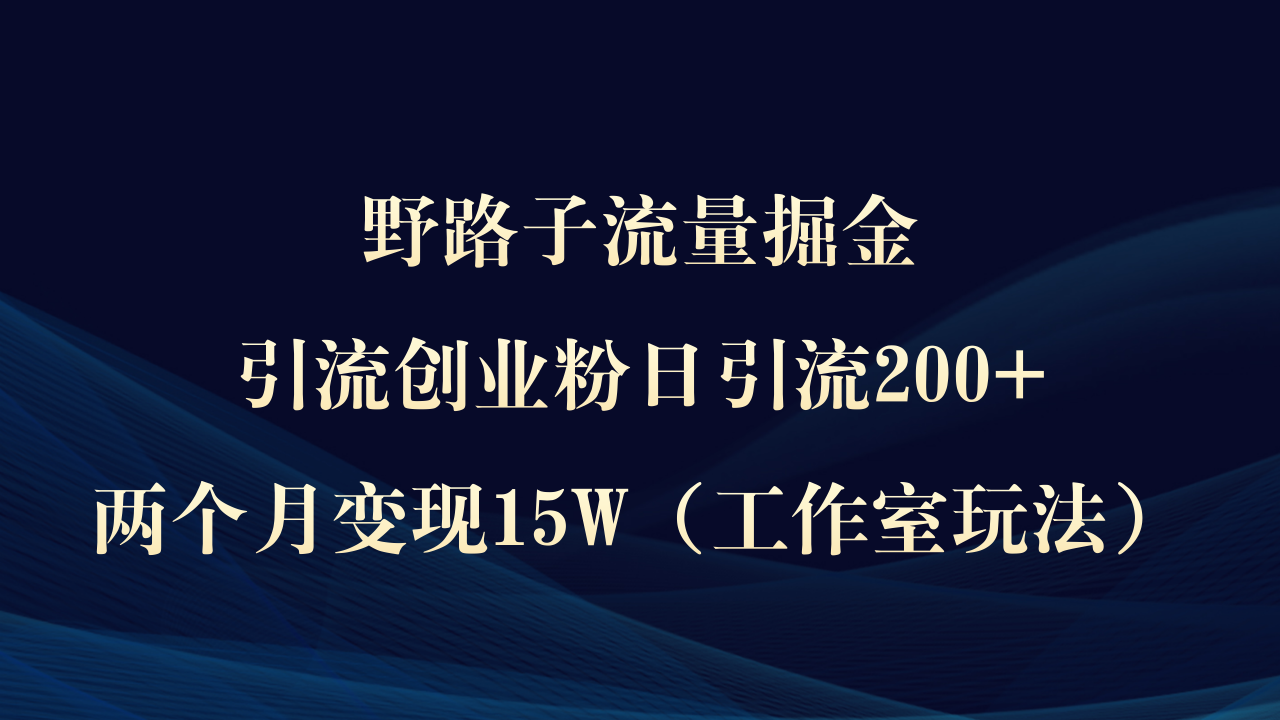 野路子流量掘金，引流创业粉日引流200+，两个月变现15W（工作室玩法））-启学项目网