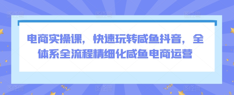 电商实操课，快速玩转咸鱼抖音，全体系全流程精细化咸鱼电商运营-启学项目网