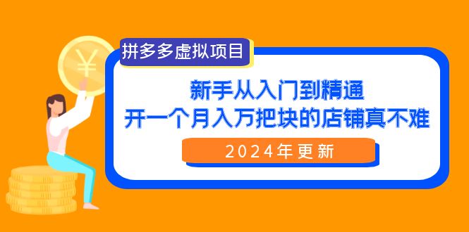 拼多多卖虚拟项目：零基础到精通，开一个月入万把块的店铺 真不难（24年新版）-启学项目网