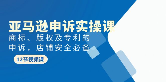 亚马逊-申诉实战课，商标、版权及专利的申诉，店铺安全必备-启学项目网