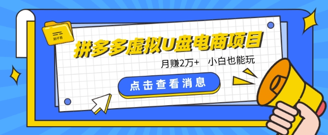 拼多多虚拟U盘电商：月赚2万+，红利项目，普通小白也能玩-启学项目网