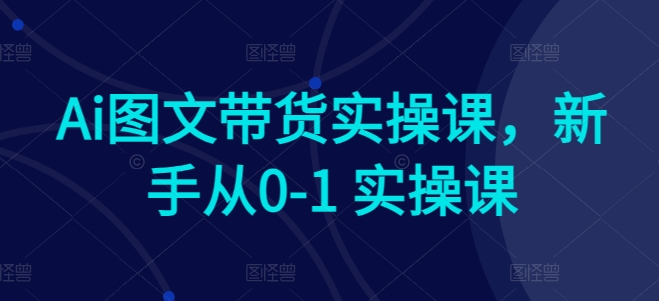 AI赋能电商：新手快速上手图文带货实操课程-启学项目网