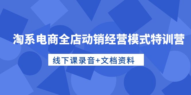 淘系电商运营高手特训：全店动销经营模式，线下课录音+文档资料-启学项目网