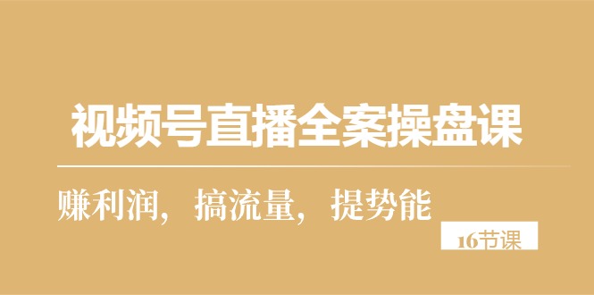 视频号直播实操攻略：从零到一，打造高利润直播间（16节课）-启学项目网