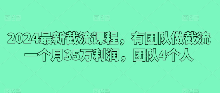 2024最新截流课程，有团队做截流一个月35万利润，团队4个人-启学项目网