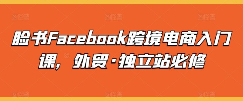 脸书FACEBOOK跨境电商入门课，外贸·独立站必修-启学项目网