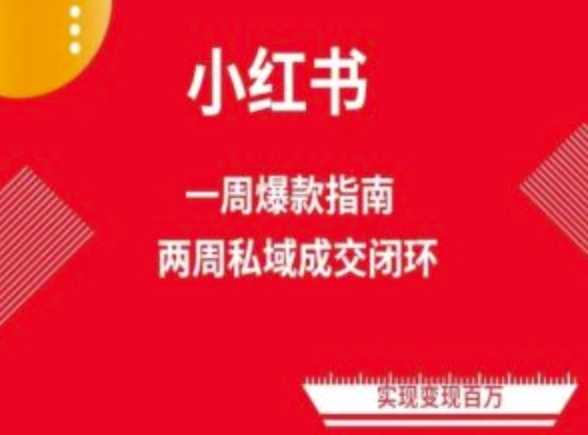 小红书流量秘籍：两周速成爆款笔记，解锁免费流量池-启学项目网