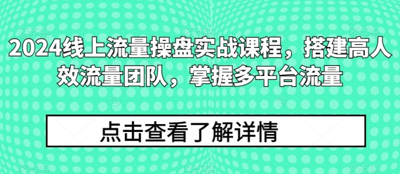 2024流量王者修炼手册：打造高效流量团队，解锁多平台流量秘籍-启学项目网