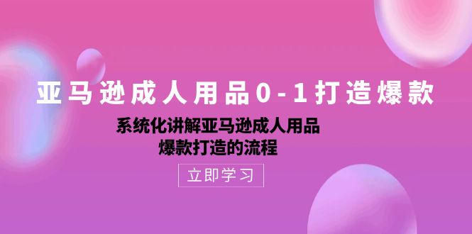 亚马逊成人用品0-1打造爆款课：系统化讲解亚马逊成人用品爆款打造的流程-启学项目网