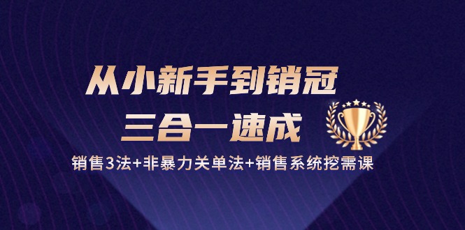 从小新手到销冠 三合一速成：销售3法+非暴力关单法+销售系统挖需课 (27节)-启学项目网