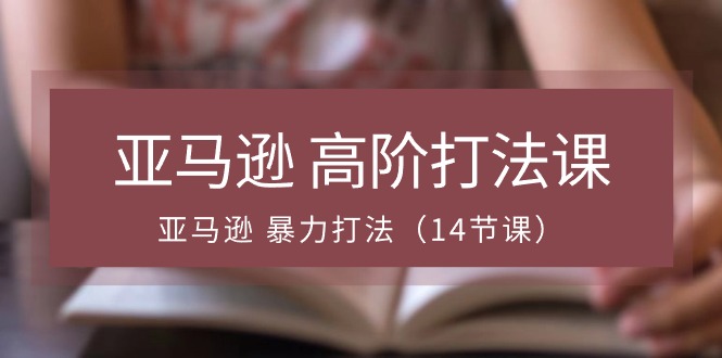 亚马逊 高阶打法课，亚马逊 暴力打法（14节课）-启学项目网
