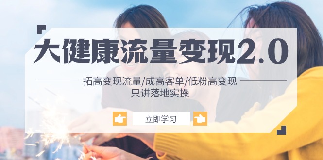 大健康 流量 变现2.0：拓高变现 流量/成高客单/低粉高变现/只讲落地实战-启学项目网
