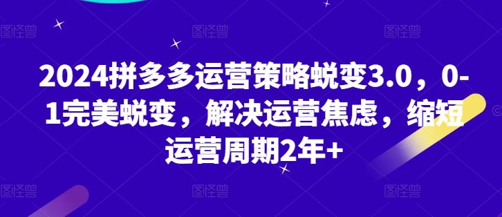 2024拼多多运营策略蜕变3.0，0-1完美蜕变，解决运营焦虑，缩短运营周期2年+-启学项目网