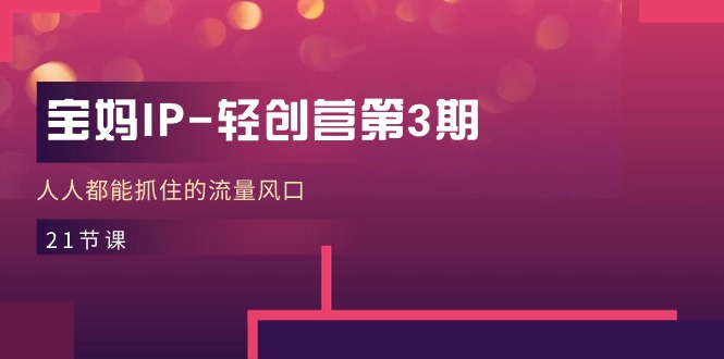 宝妈IP-轻创营第3期，人人都能抓住的流量风口（21节课）-启学项目网