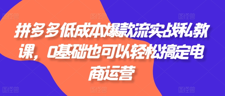 拼多多低成本爆款流实战私教课，0基础也可以轻松搞定电商运营-启学项目网