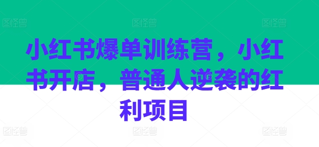 小红书爆单训练营，小红书开店，普通人逆袭的红利项目-启学项目网