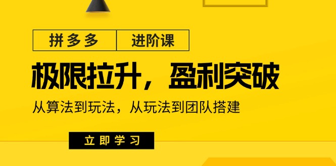 拼多多·进阶课：极限拉升/盈利突破：从算法到玩法 从玩法到团队搭建-18节-启学项目网
