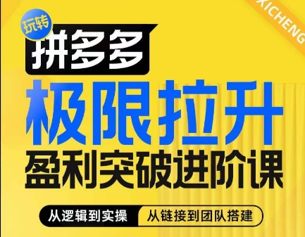 拼多多极限拉升盈利突破进阶课，​从算法到玩法，从玩法到团队搭建，体系化系统性帮助商家实现利润提升-启学项目网