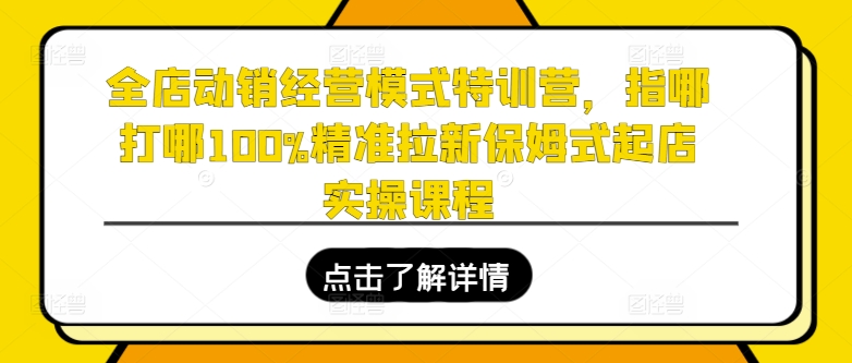 全店动销经营模式特训营，指哪打哪100%精准拉新保姆式起店实操课程-启学项目网