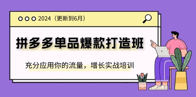 2024拼多多-单品爆款打造班(更新6月)，充分应用你的流量，增长实战培训-启学项目网