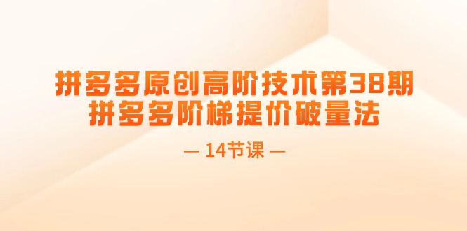 拼多多原创高阶技术第38期，拼多多阶梯提价破量法（14节课）-启学项目网