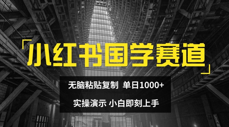 小红书国学赛道，无脑粘贴复制，单日1K，实操演示，小白即刻上手-启学项目网