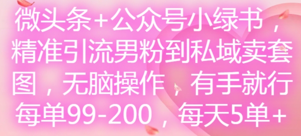 微头条+公众号小绿书，精准引流男粉到私域卖套图，无脑操作，有手就行，每单99-200，每天5单-启学项目网