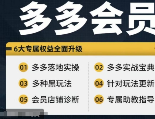 拼多多会员，拼多多实战宝典+实战落地实操，从新手到高阶内容全面覆盖-启学项目网