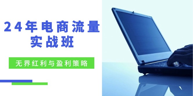 24年电商流量实战班：无界 红利与盈利策略，终极提升/关键词优化-启学项目网