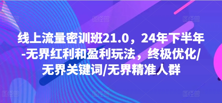 线上流量密训班21.0，24年下半年-无界红利和盈利玩法，终极优化/无界关键词/无界精准人群-启学项目网
