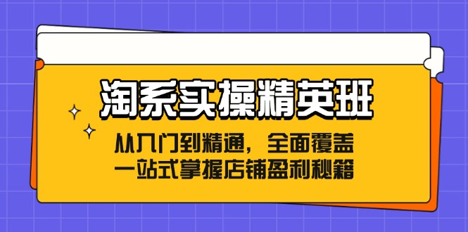 淘系实操精英班：从入门到精通，全面覆盖，一站式掌握店铺盈利秘籍-启学项目网