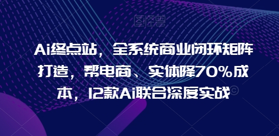 AI终点站，全系统商业闭环矩阵打造，帮电商、实体降70%成本，12款AI联合深度实战【0906更新】-启学项目网