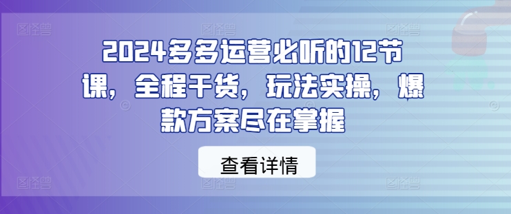 2024多多运营必听的12节课，全程干货，玩法实操，爆款方案尽在掌握-启学项目网