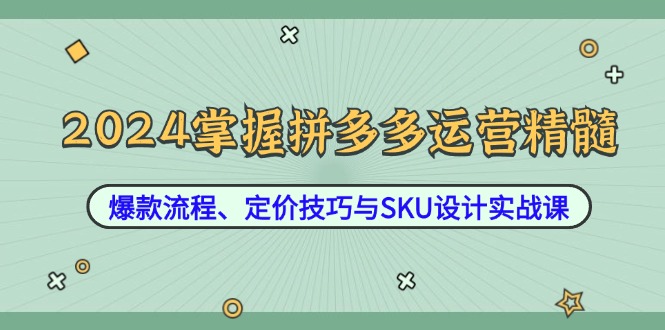 2024掌握拼多多运营精髓：爆款流程、定价技巧与SKU设计实战课-启学项目网