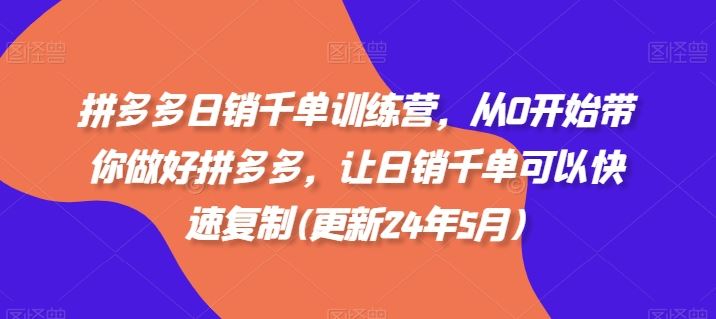 拼多多日销千单训练营，从0开始带你做好拼多多，让日销千单可以快速复制(更新24年8月)-启学项目网