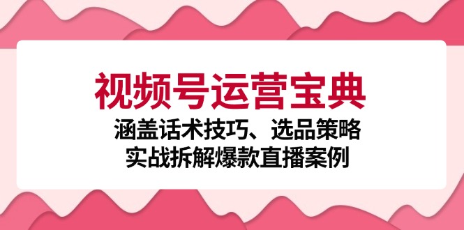 视频号运营宝典：涵盖话术技巧、选品策略、实战拆解爆款直播案例-启学项目网