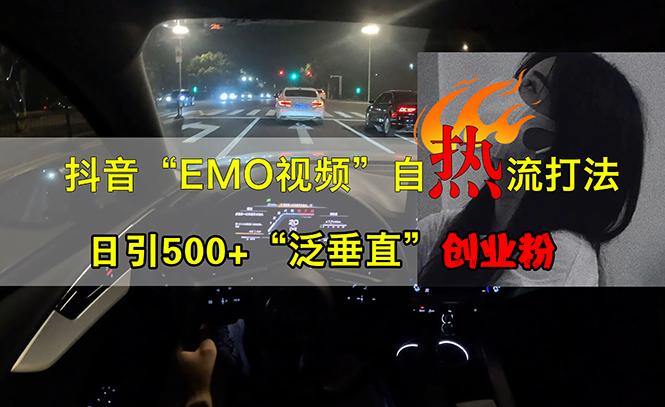 抖音EMO视频自热打法，日引500+“泛垂直”创业粉-启学项目网
