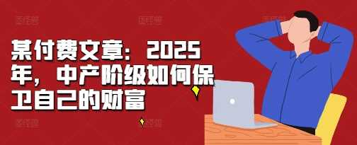 某付费文章：2025年，中产阶级如何保卫自己的财富-启学项目网