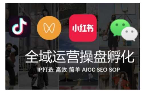 全域运营操盘(抖音+私域+小红书)，IP打造高效简单-启学项目网