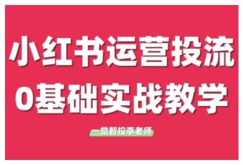 小红书运营投流，小红书广告投放从0到1的实战课，学完即可开始投放-启学项目网