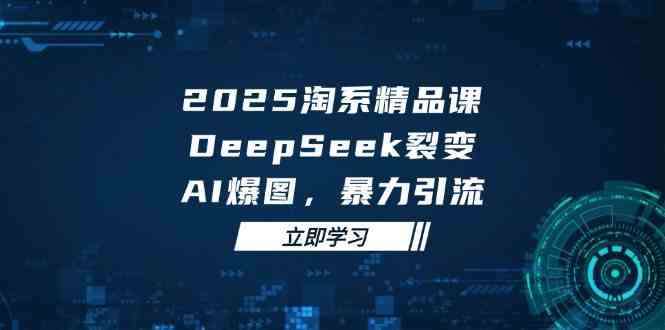 2025无界精品课，DeepSeek裂变，AI爆图，暴力引流助力淘系运营-启学项目网